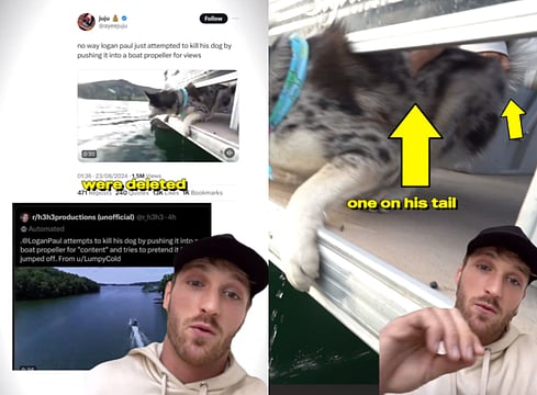 Watch: Logan Paul Addresses Viral Controversy Over Old Dog Video: 'I Would NEVER'